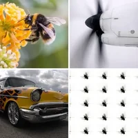 Les quatre images du niveau 425 de 4 Images 1 Mot