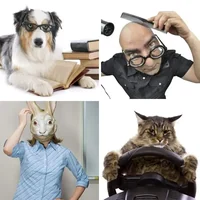 Les quatre images du niveau 465 de 4 Images 1 Mot
