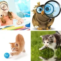 Les quatre images du niveau 495 de 4 Images 1 Mot