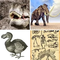 Les quatre images du niveau 548 de 4 Images 1 Mot