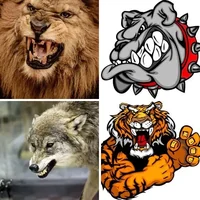 Les quatre images du niveau 562 de 4 Images 1 Mot