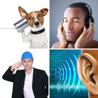 Les quatre images du niveau 566 de 4 Images 1 Mot