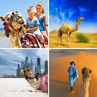 Les quatre images du niveau 592 de 4 Images 1 Mot