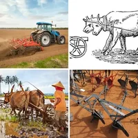 Les quatre images du niveau 608 de 4 Images 1 Mot