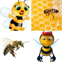 Les quatre images du niveau 611 de 4 Images 1 Mot