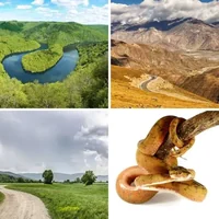 Les quatre images du niveau 639 de 4 Images 1 Mot