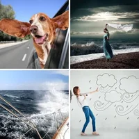 Les quatre images du niveau 647 de 4 Images 1 Mot