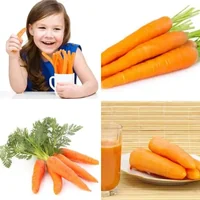 Les quatre images du niveau 758 de 4 Images 1 Mot