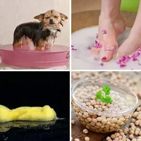 Les quatre images du niveau 763 de 4 Images 1 Mot