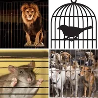 Les quatre images du niveau 789 de 4 Images 1 Mot