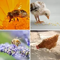 Les quatre images du niveau 865 de 4 Images 1 Mot