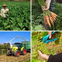 Les quatre images du niveau 903 de 4 Images 1 Mot