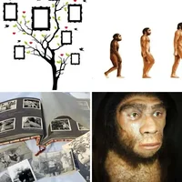 Les quatre images du niveau 938 de 4 Images 1 Mot
