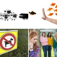 Les quatre images du niveau 969 de 4 Images 1 Mot