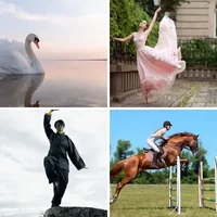 Les quatre images du niveau 1033 de 4 Images 1 Mot