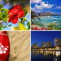 Les quatre images du niveau 1038 de 4 Images 1 Mot