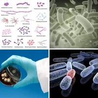 Les quatre images du niveau 1070 de 4 Images 1 Mot