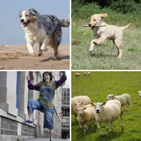 Les quatre images du niveau 1076 de 4 Images 1 Mot