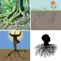 Les quatre images du niveau 1151 de 4 Images 1 Mot
