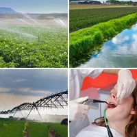 Les quatre images du niveau 1217 de 4 Images 1 Mot