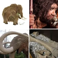 Les quatre images du niveau 1243 de 4 Images 1 Mot