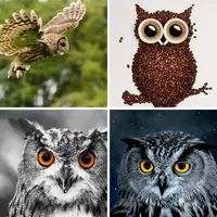 Les quatre images du niveau 1244 de 4 Images 1 Mot