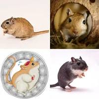 Les quatre images du niveau 1281 de 4 Images 1 Mot