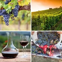 Les quatre images du niveau 1298 de 4 Images 1 Mot
