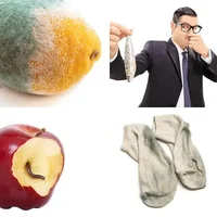 Les quatre images du niveau 1310 de 4 Images 1 Mot