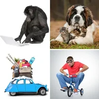 Les quatre images du niveau 1321 de 4 Images 1 Mot