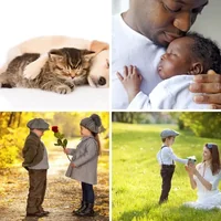 Les quatre images du niveau 1329 de 4 Images 1 Mot