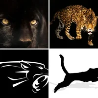 Les quatre images du niveau 1428 de 4 Images 1 Mot