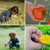 Les quatre images du niveau 1431 de 4 Images 1 Mot
