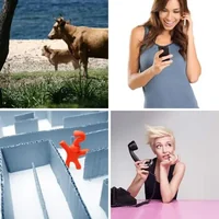 Les quatre images du niveau 145 de 4 Images 1 Mot