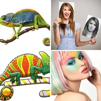 Les quatre images du niveau 1464 de 4 Images 1 Mot