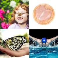 Les quatre images du niveau 1477 de 4 Images 1 Mot