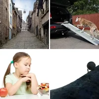 Les quatre images du niveau 169 de 4 Images 1 Mot