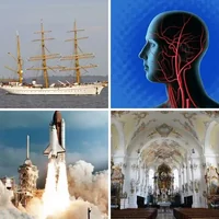 Les quatre images du niveau 238 de 4 Images 1 Mot