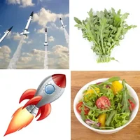 Les quatre images du niveau 239 de 4 Images 1 Mot