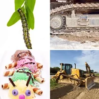 Les quatre images du niveau 288 de 4 Images 1 Mot
