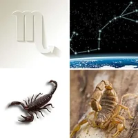 Les quatre images du niveau 366 de 4 Images 1 Mot
