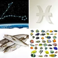Les quatre images du niveau 370 de 4 Images 1 Mot