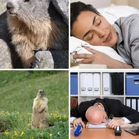 Les quatre images du niveau 382 de 4 Images 1 Mot