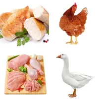 Les quatre images du niveau 398 de 4 Images 1 Mot