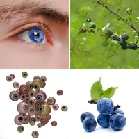 Les quatre images du niveau 421 de 4 Images 1 Mot