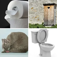 Les quatre images du niveau 436 de 4 Images 1 Mot