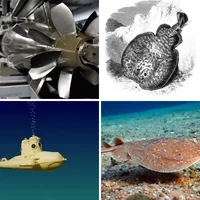 Les quatre images du niveau 450 de 4 Images 1 Mot
