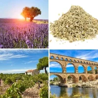Les quatre images du niveau 462 de 4 Images 1 Mot