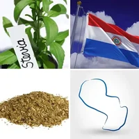 Les quatre images du niveau 470 de 4 Images 1 Mot