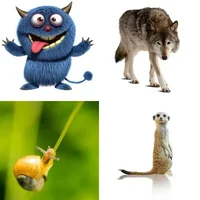 Les quatre images du niveau 494 de 4 Images 1 Mot